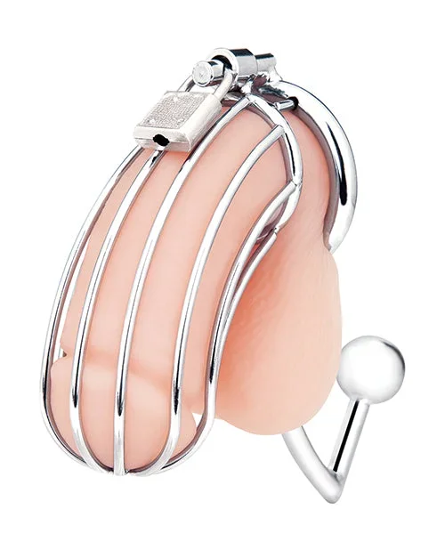 Blue Line Cock Cage w/Anal Stimulator – Silver