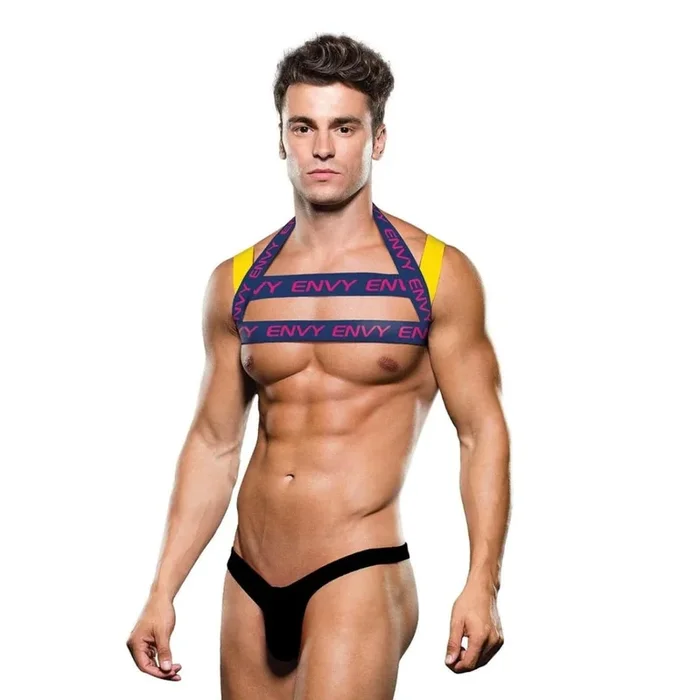 Envy Logo Harness – Blue/Yellow – L/XL