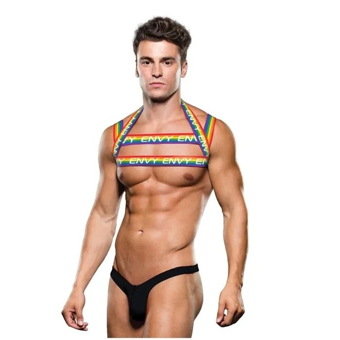 Envy Rainbow Harness – L/XL
