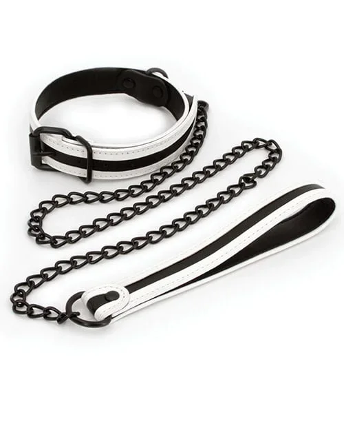 Glo Collar and Leash