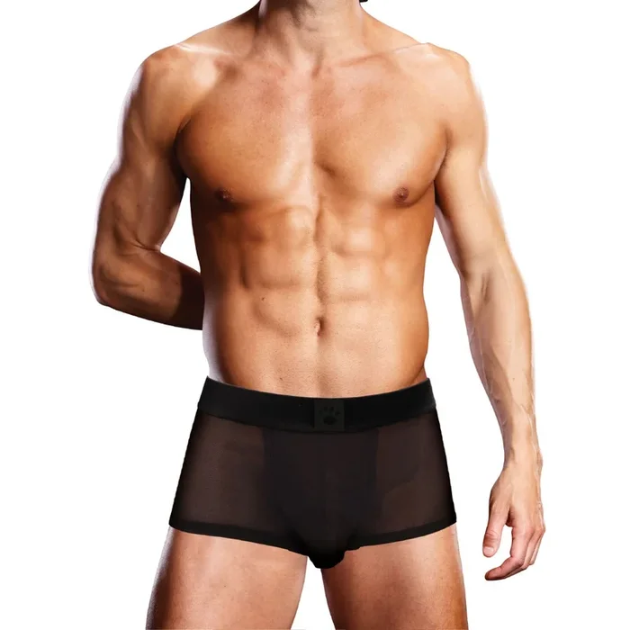 Mesh Boxer