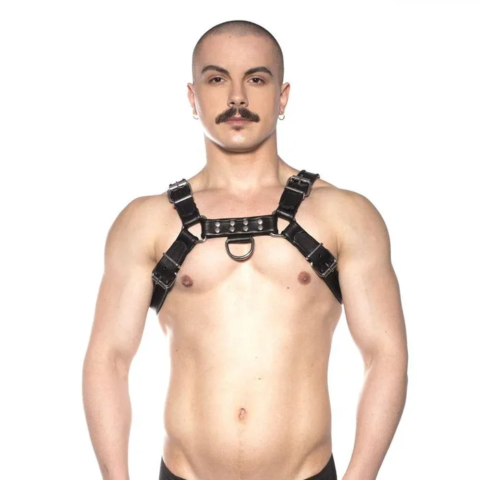 Prowler Red Bull Harness Black XXLarge