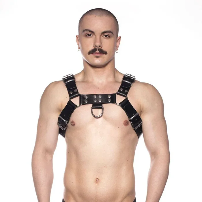 Prowler Red Butch Harness Black/Silver Medium