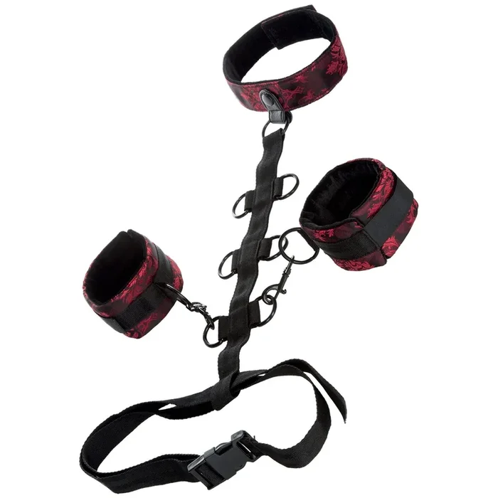 Scandal Collar Body Restraints