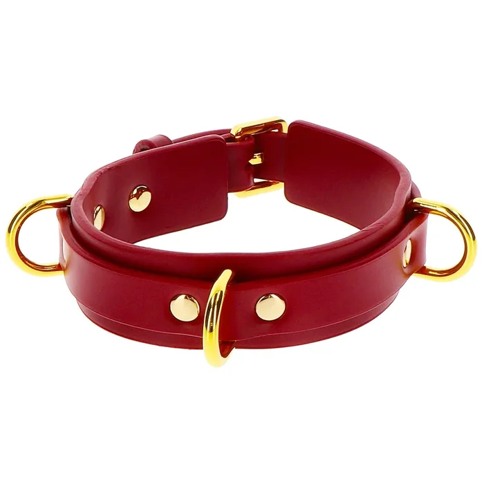 Taboom Bondage in Luxury D-Ring Collar Deluxe