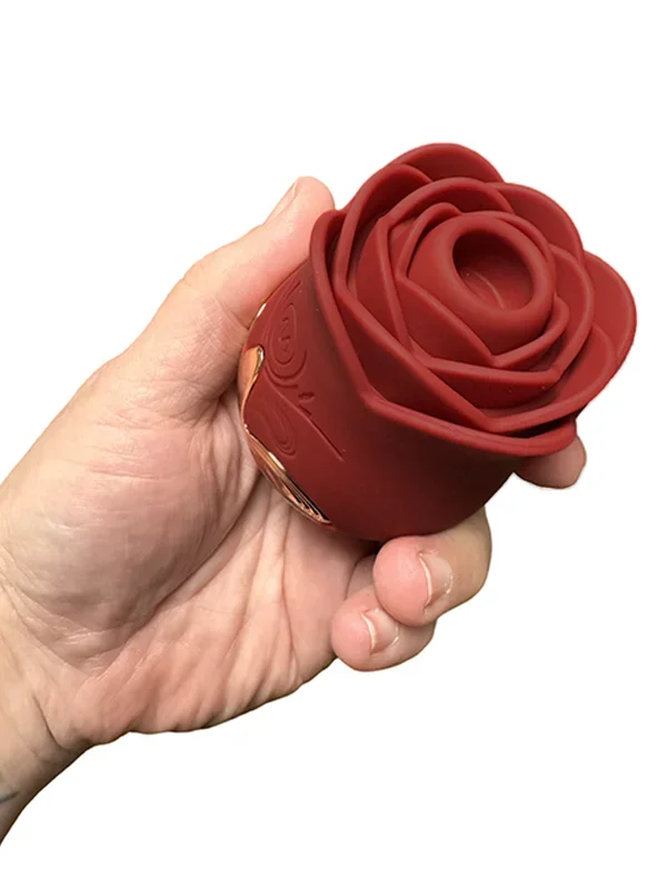 Tracy’s Dog Tracy’s Dog Rose