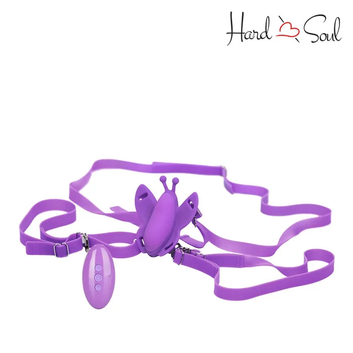 Venus Butterfly Remote Venus Butterfly Purple
