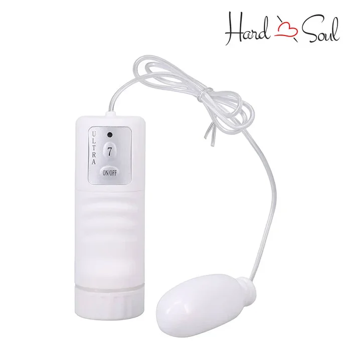 White Nights Bullet & Controller